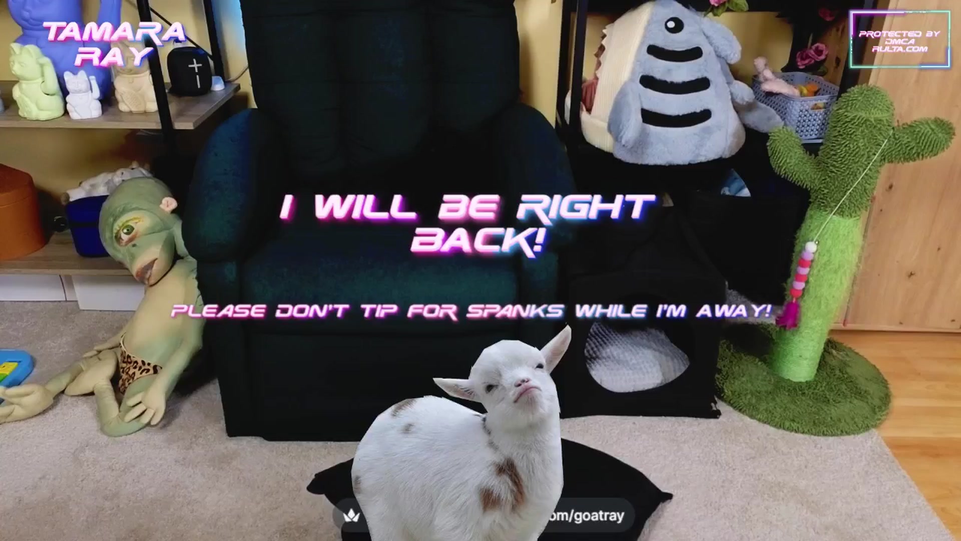 Gallery image thumbnail from TamaraRay's myfreecams stream on, 04/06/2025, 05:43 image 12 of 20