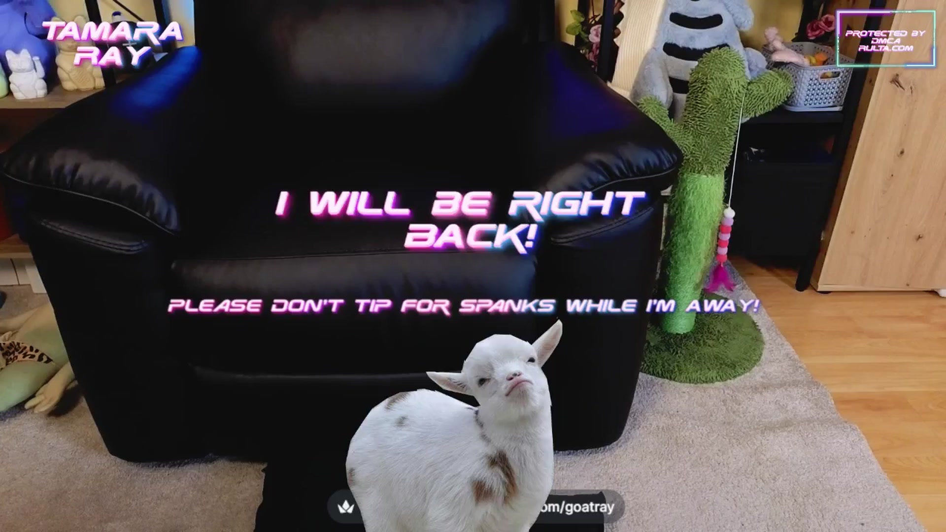 Gallery image thumbnail from TamaraRay's myfreecams stream on, 04/10/2025, 05:32 image 4 of 20