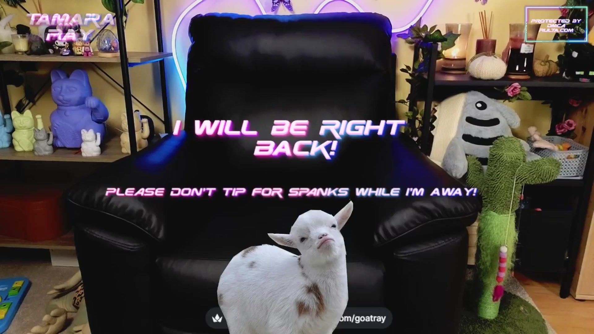 Gallery image thumbnail from TamaraRay's myfreecams stream on, 04/13/2025, 05:37 image 9 of 20