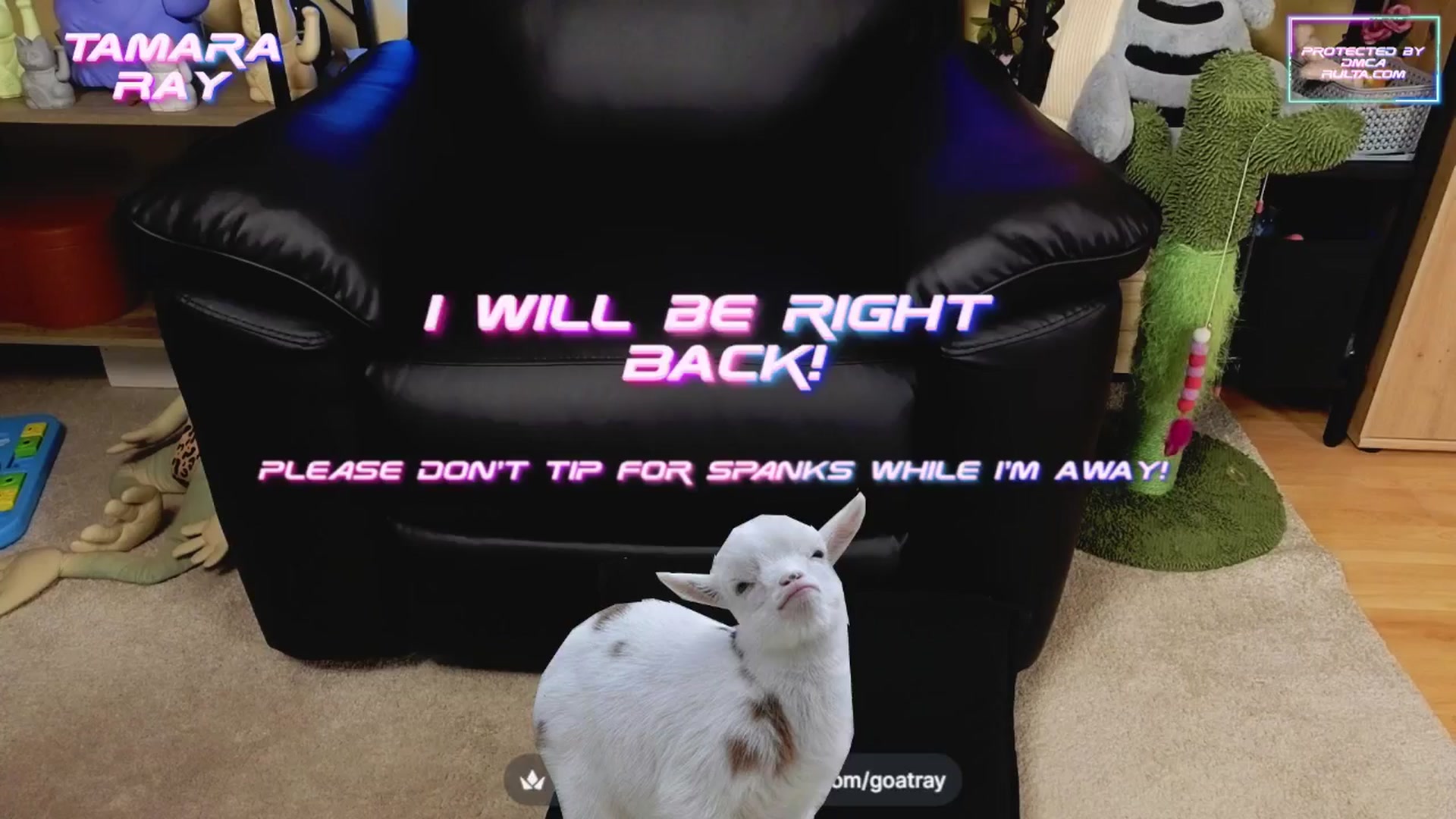 Gallery image thumbnail from TamaraRay's myfreecams stream on, 04/13/2025, 05:37 image 1 of 20