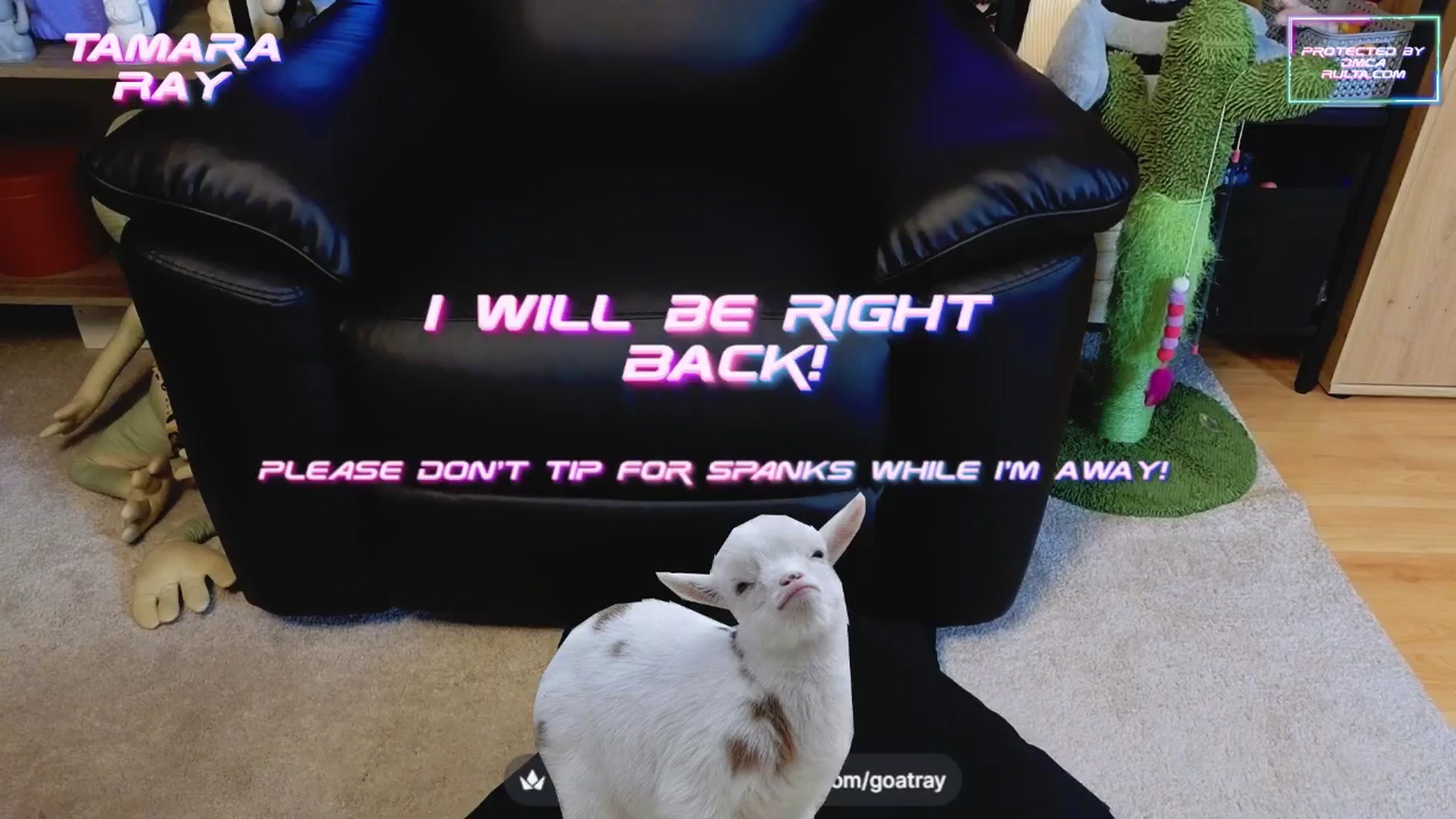 Gallery image thumbnail from TamaraRay's myfreecams stream on, 04/14/2025, 04:09 image 18 of 20
