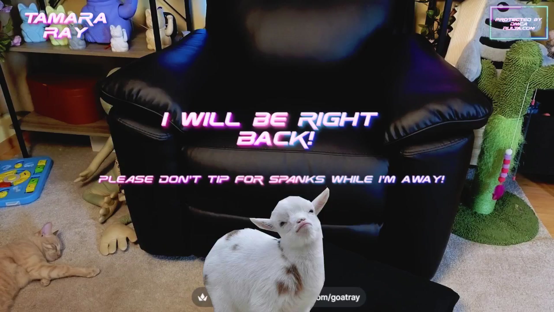 Gallery image thumbnail from TamaraRay's myfreecams stream on, 04/14/2025, 04:09 image 8 of 20