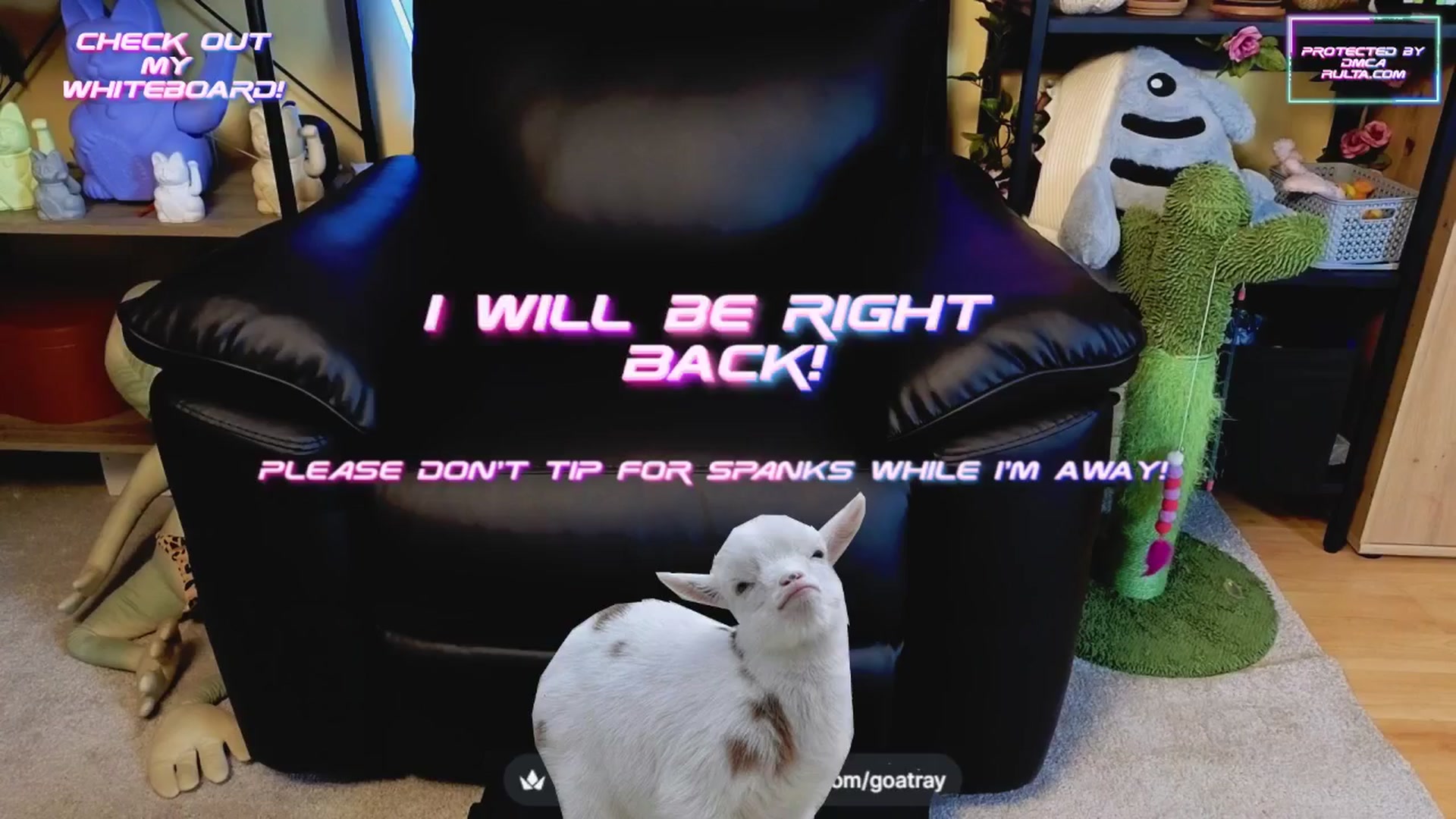 Gallery image thumbnail from TamaraRay's myfreecams stream on, 04/15/2025, 03:40 image 1 of 20