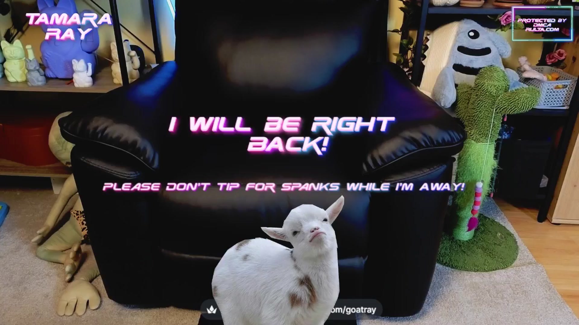 Gallery image thumbnail from TamaraRay's myfreecams stream on, 04/15/2025, 03:40 image 10 of 20
