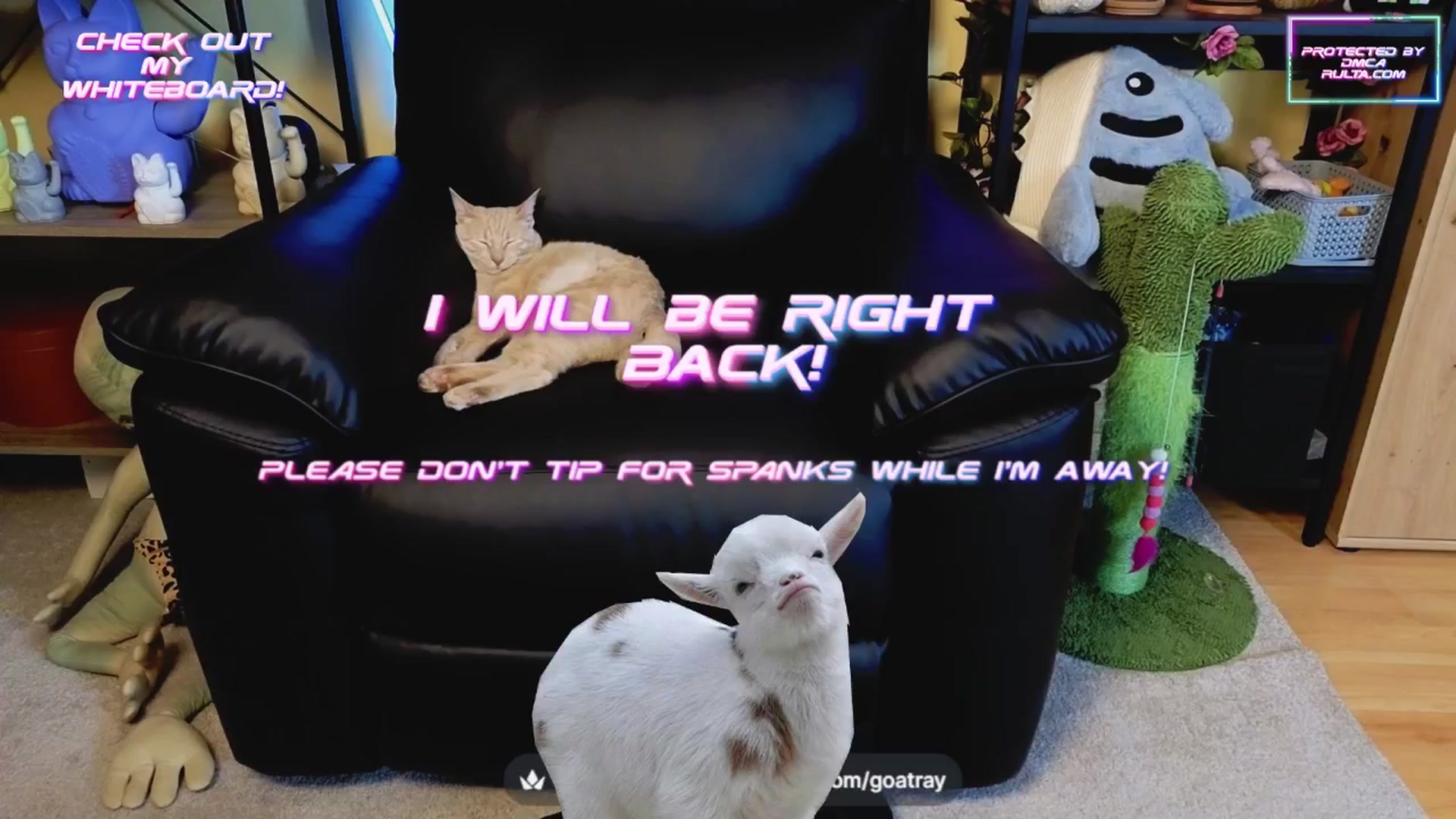 Gallery image thumbnail from TamaraRay's myfreecams stream on, 04/15/2025, 05:02 image 17 of 20