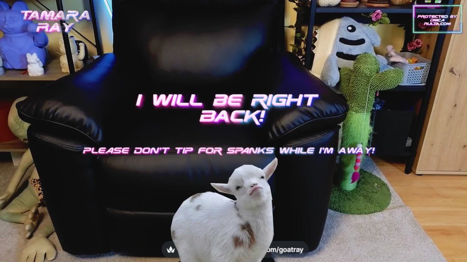 Gallery image thumbnail from TamaraRay's myfreecams stream on, 04/15/2025, 05:02 image 5 of 20