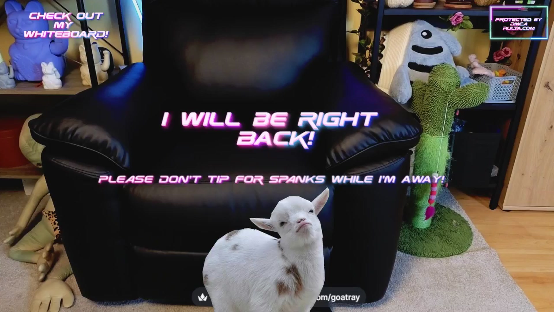 Gallery image thumbnail from TamaraRay's myfreecams stream on, 04/15/2025, 05:02 image 4 of 20