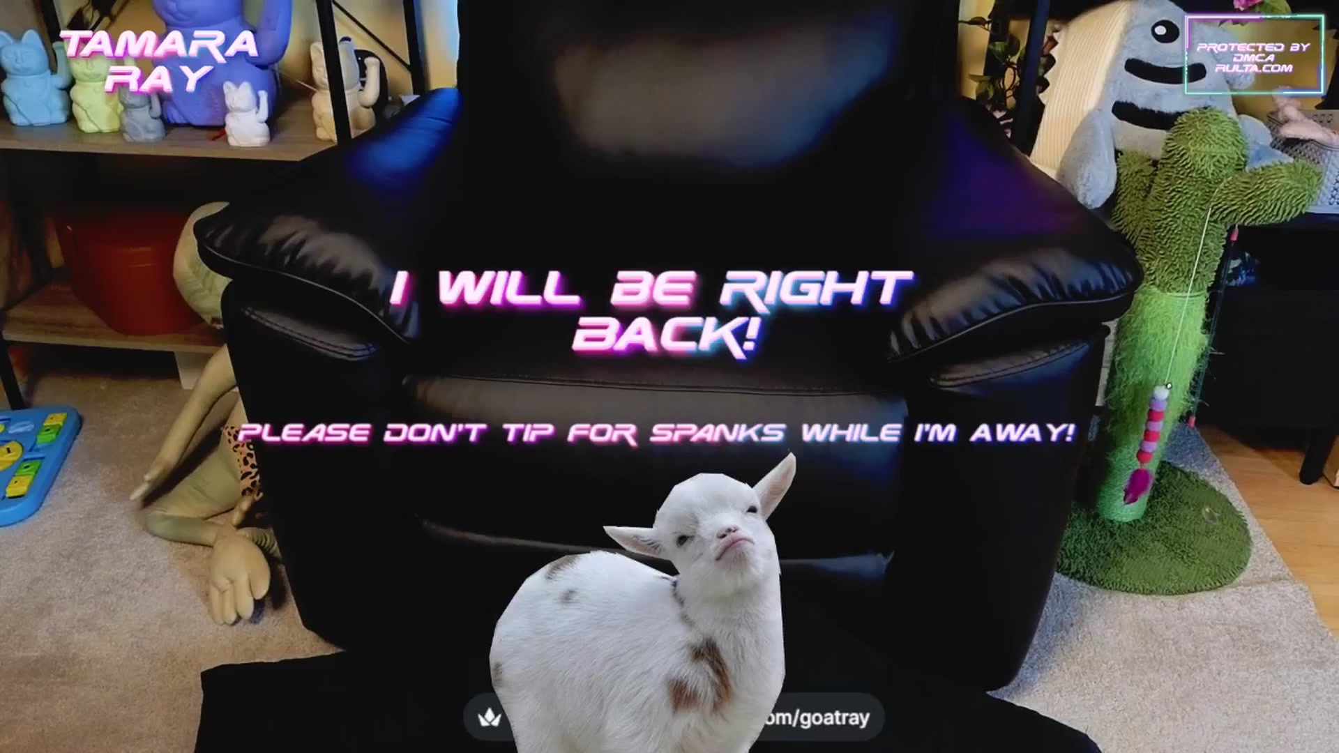 Gallery image thumbnail from TamaraRay's myfreecams stream on, 04/16/2025, 04:50 image 16 of 20