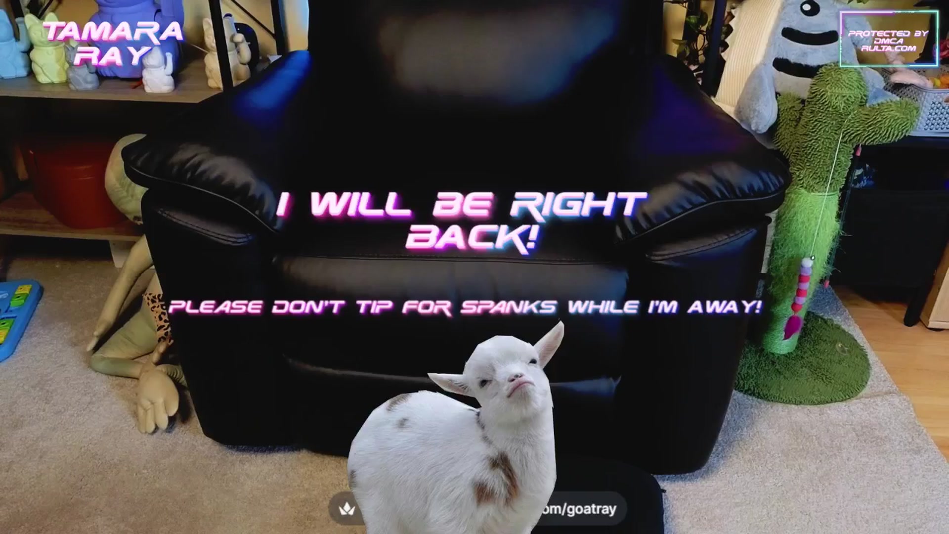 Gallery image thumbnail from TamaraRay's myfreecams stream on, 04/16/2025, 04:50 image 3 of 20