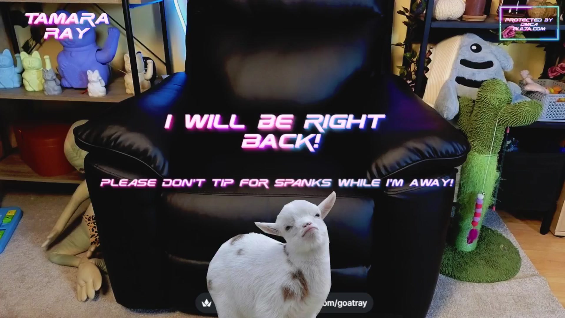 Gallery image thumbnail from TamaraRay's myfreecams stream on, 04/16/2025, 04:50 image 9 of 20