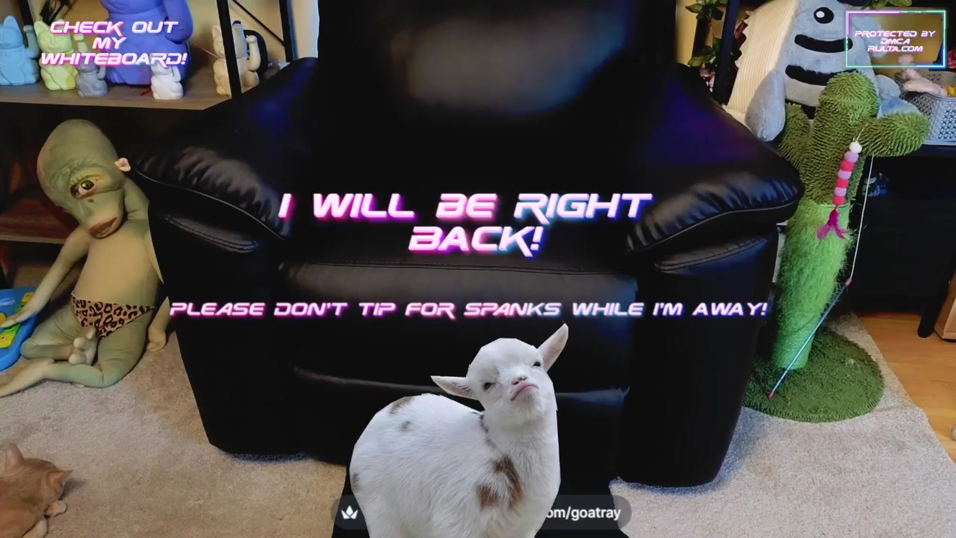 Gallery image thumbnail from TamaraRay's myfreecams stream on, 04/18/2025, 05:00 image 11 of 20