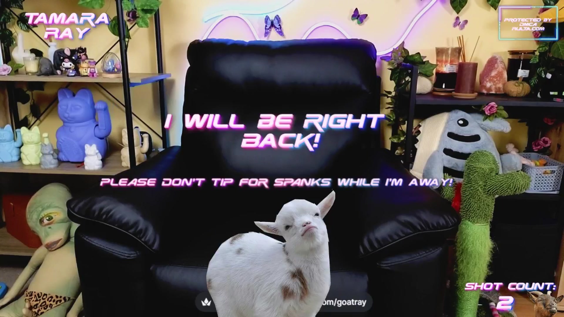 Gallery image thumbnail from TamaraRay's myfreecams stream on, 04/23/2025, 05:32 image 11 of 20