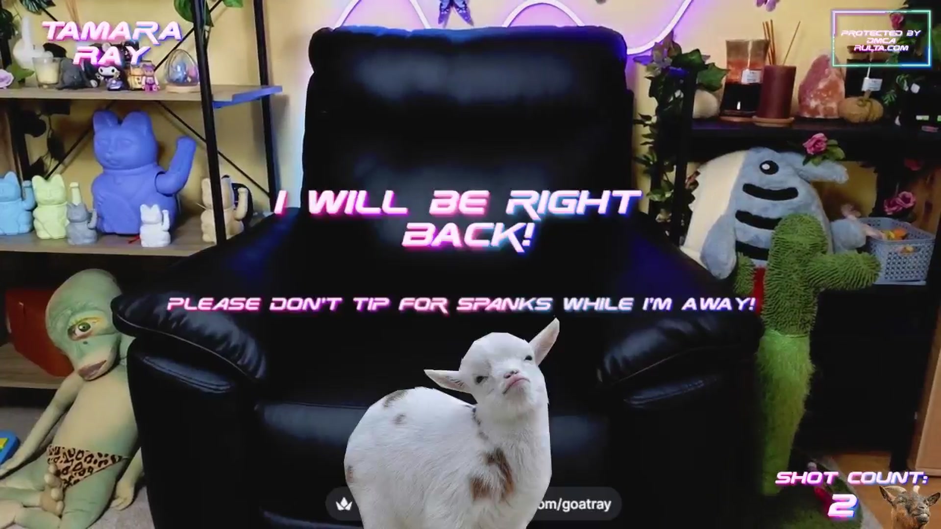 Gallery image thumbnail from TamaraRay's myfreecams stream on, 04/23/2025, 05:32 image 19 of 20