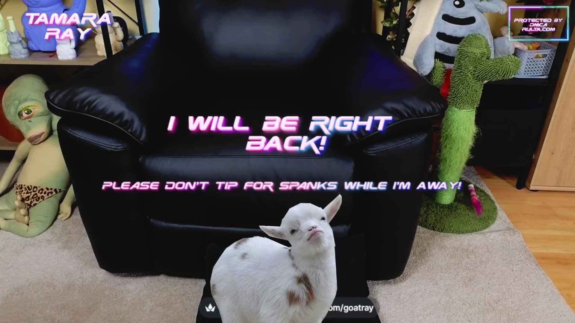 Gallery image thumbnail from TamaraRay's myfreecams stream on, 04/23/2025, 05:32 image 3 of 20