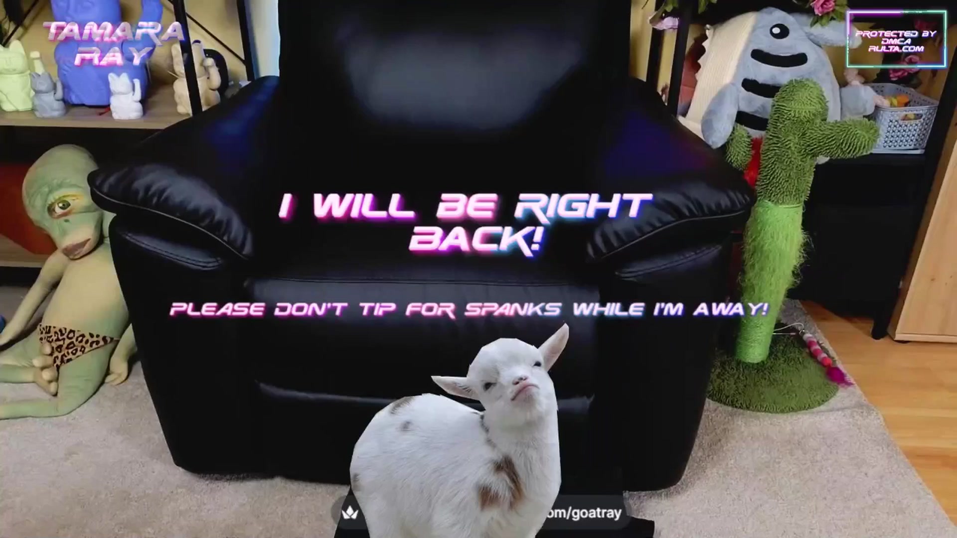 Gallery image thumbnail from TamaraRay's myfreecams stream on, 04/24/2025, 05:37 image 15 of 20