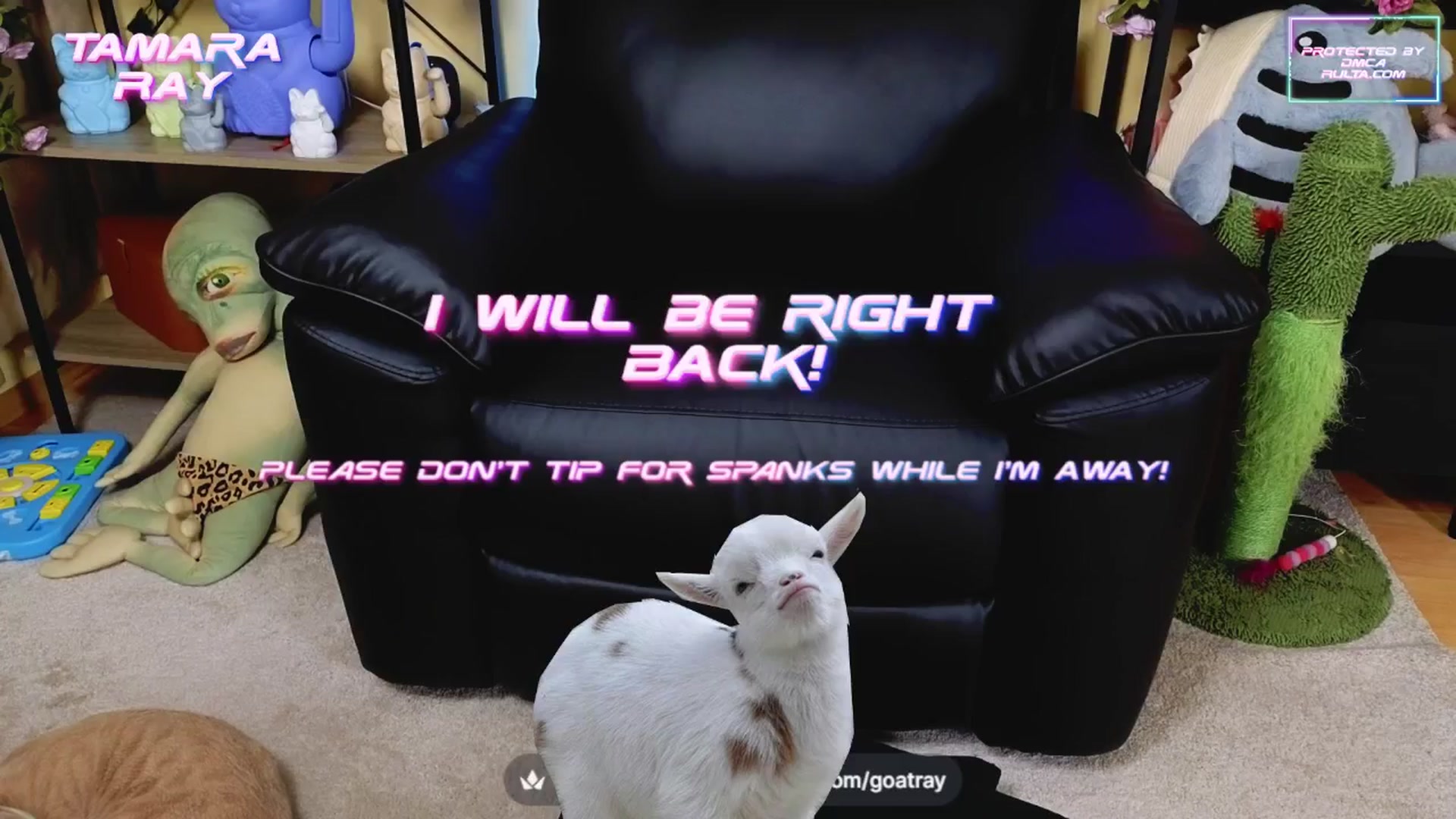 Gallery image thumbnail from TamaraRay's myfreecams stream on, 04/25/2025, 04:59 image 15 of 20