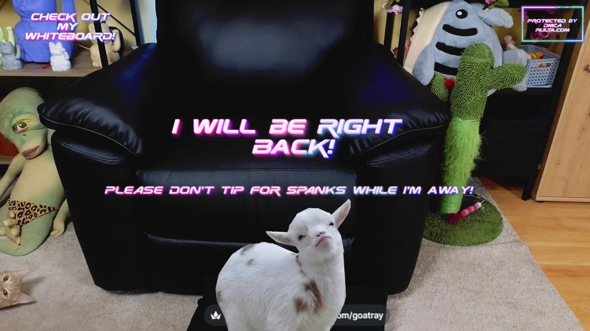 Gallery image thumbnail from TamaraRay's myfreecams stream on, 04/25/2025, 04:59 image 7 of 20