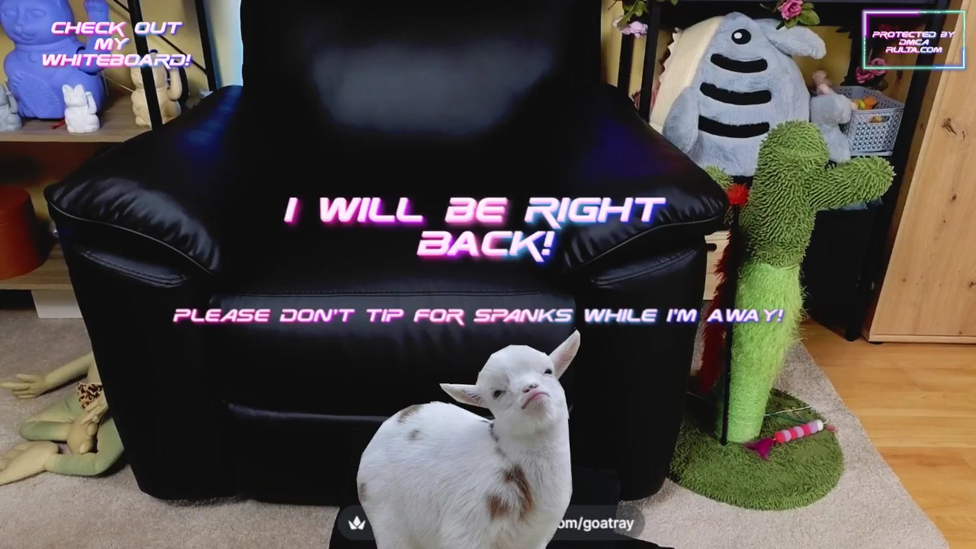 Gallery image thumbnail from TamaraRay's myfreecams stream on, 04/28/2025, 04:10 image 18 of 20