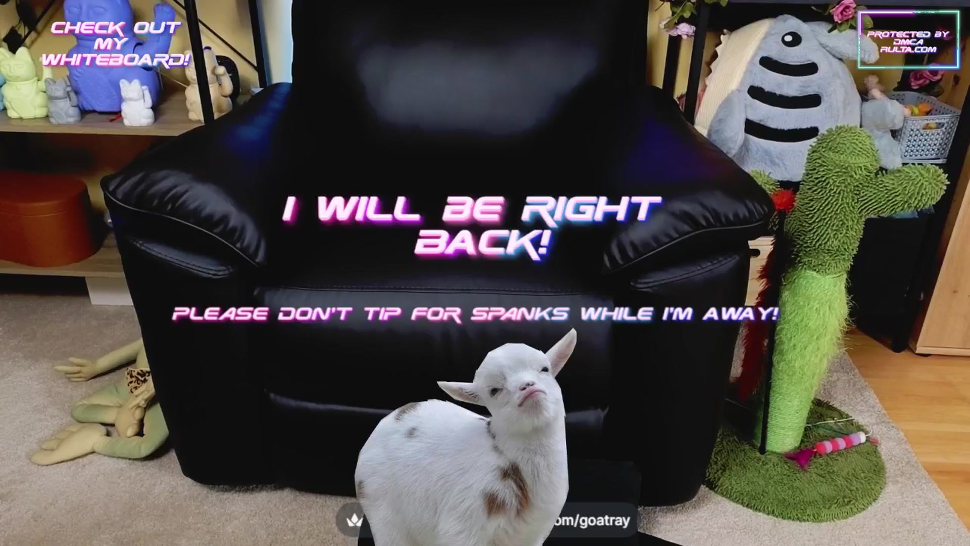 Gallery image thumbnail from TamaraRay's myfreecams stream on, 04/28/2025, 04:10 image 8 of 20
