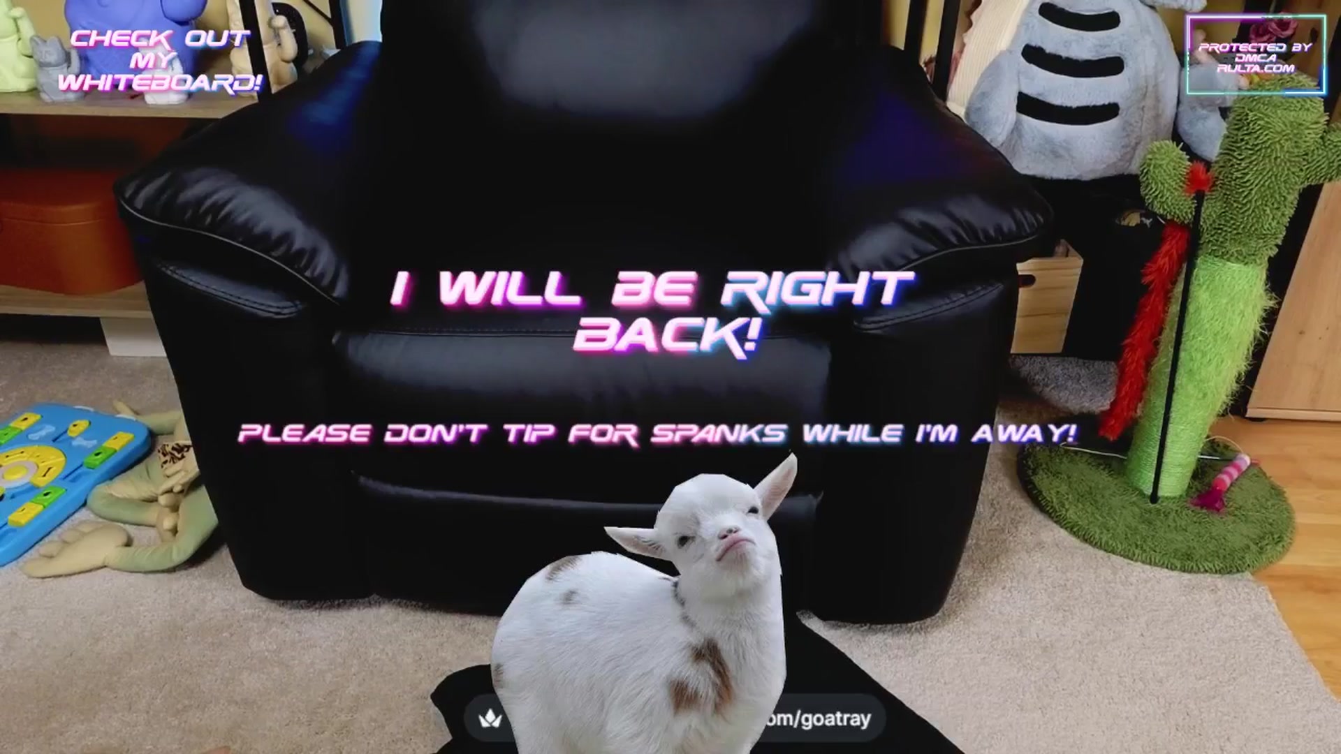 Gallery image thumbnail from TamaraRay's myfreecams stream on, 04/29/2025, 04:57 image 12 of 20