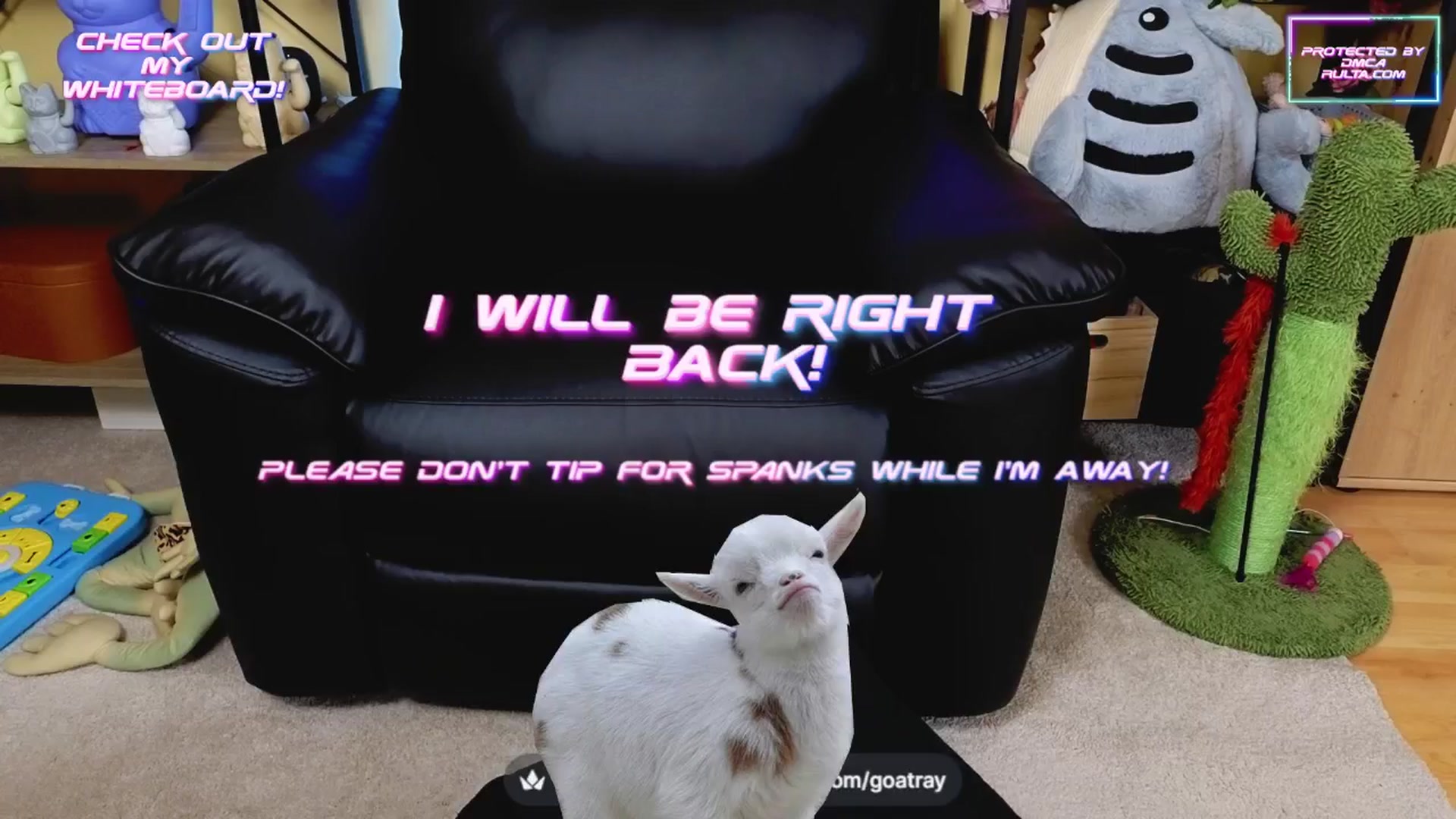 Gallery image thumbnail from TamaraRay's myfreecams stream on, 04/29/2025, 04:57 image 1 of 20