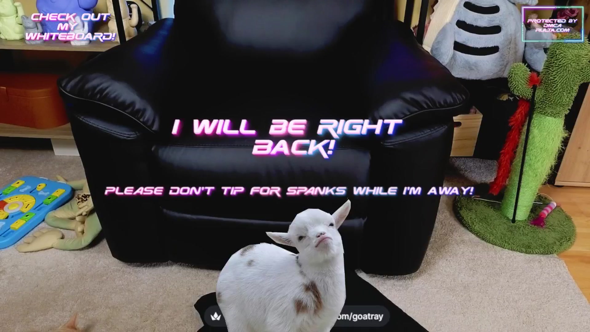 Gallery image thumbnail from TamaraRay's myfreecams stream on, 04/29/2025, 04:57 image 9 of 20