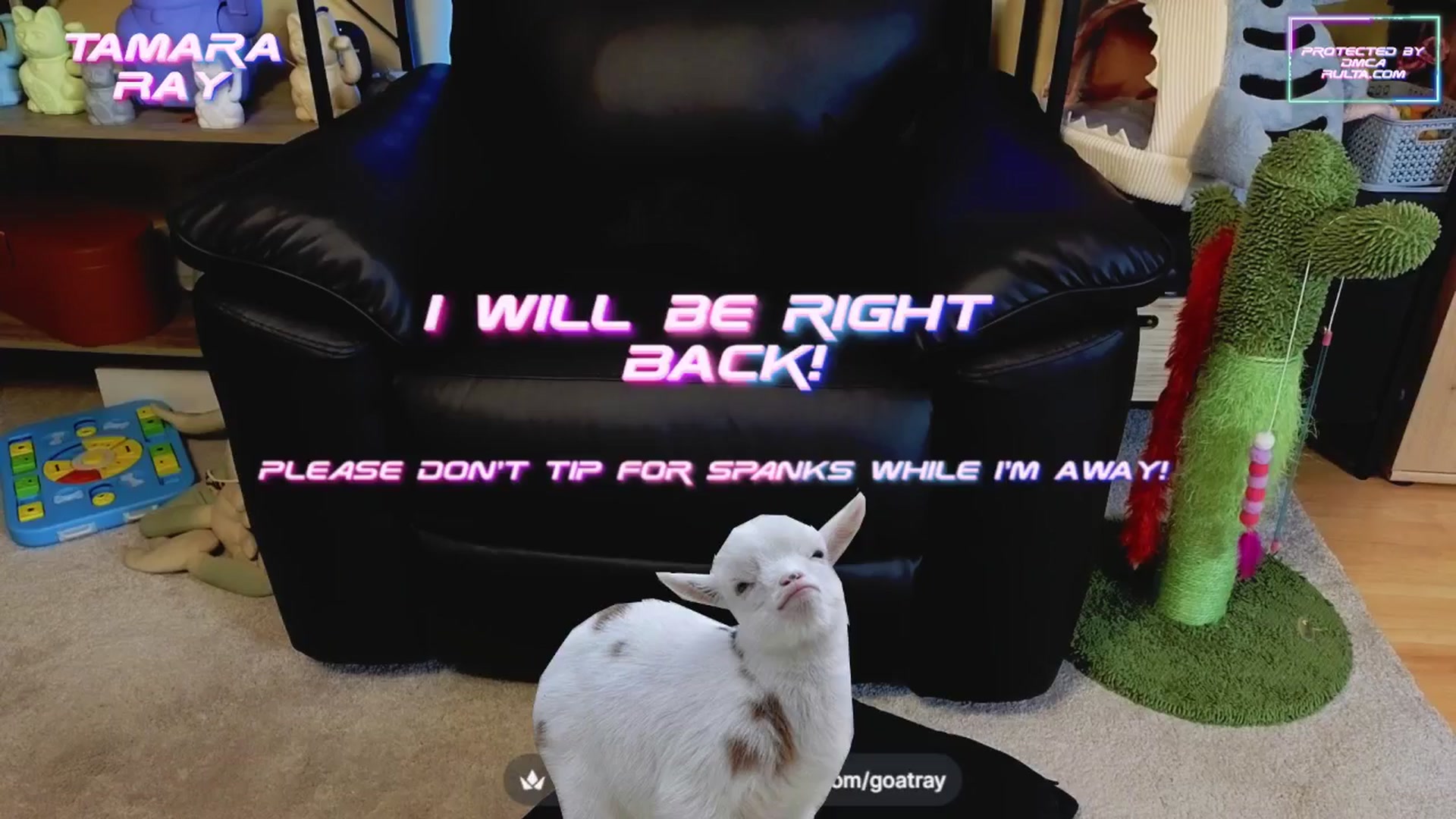 Gallery image thumbnail from TamaraRay's myfreecams stream on, 05/06/2025, 04:05 image 12 of 20