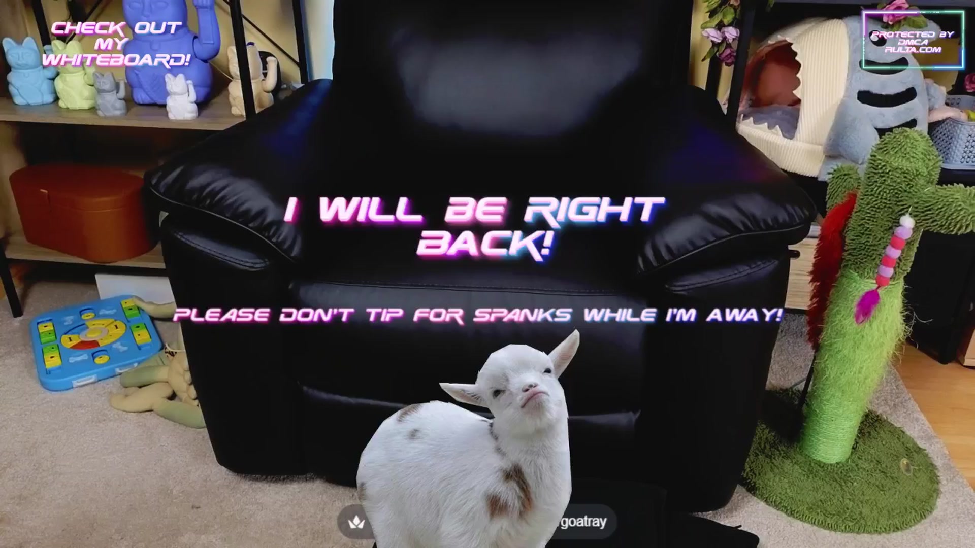 Gallery image thumbnail from TamaraRay's myfreecams stream on, 05/07/2025, 05:20 image 20 of 20