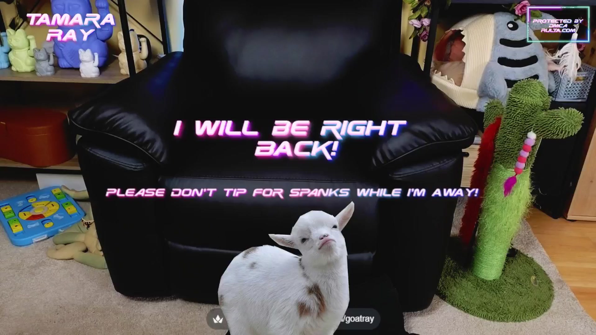 Gallery image thumbnail from TamaraRay's myfreecams stream on, 05/08/2025, 05:06 image 16 of 20