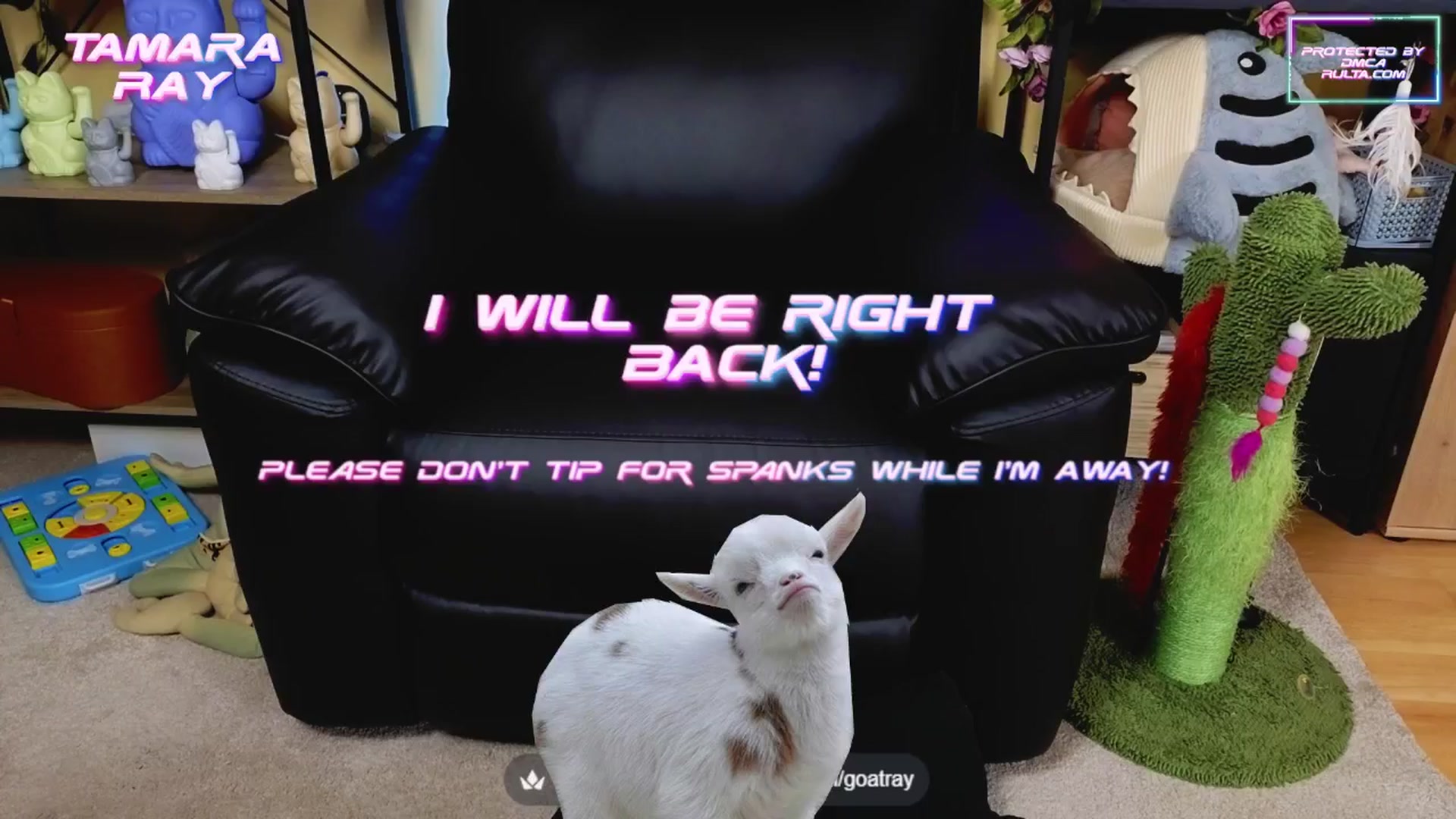 Gallery image thumbnail from TamaraRay's myfreecams stream on, 05/08/2025, 05:06 image 15 of 20