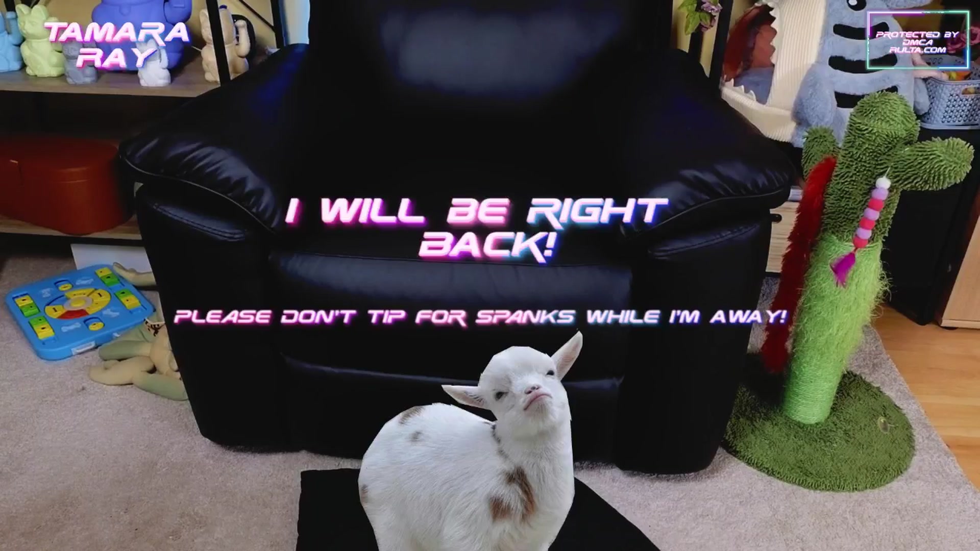 Gallery image thumbnail from TamaraRay's myfreecams stream on, 05/09/2025, 05:35 image 6 of 20