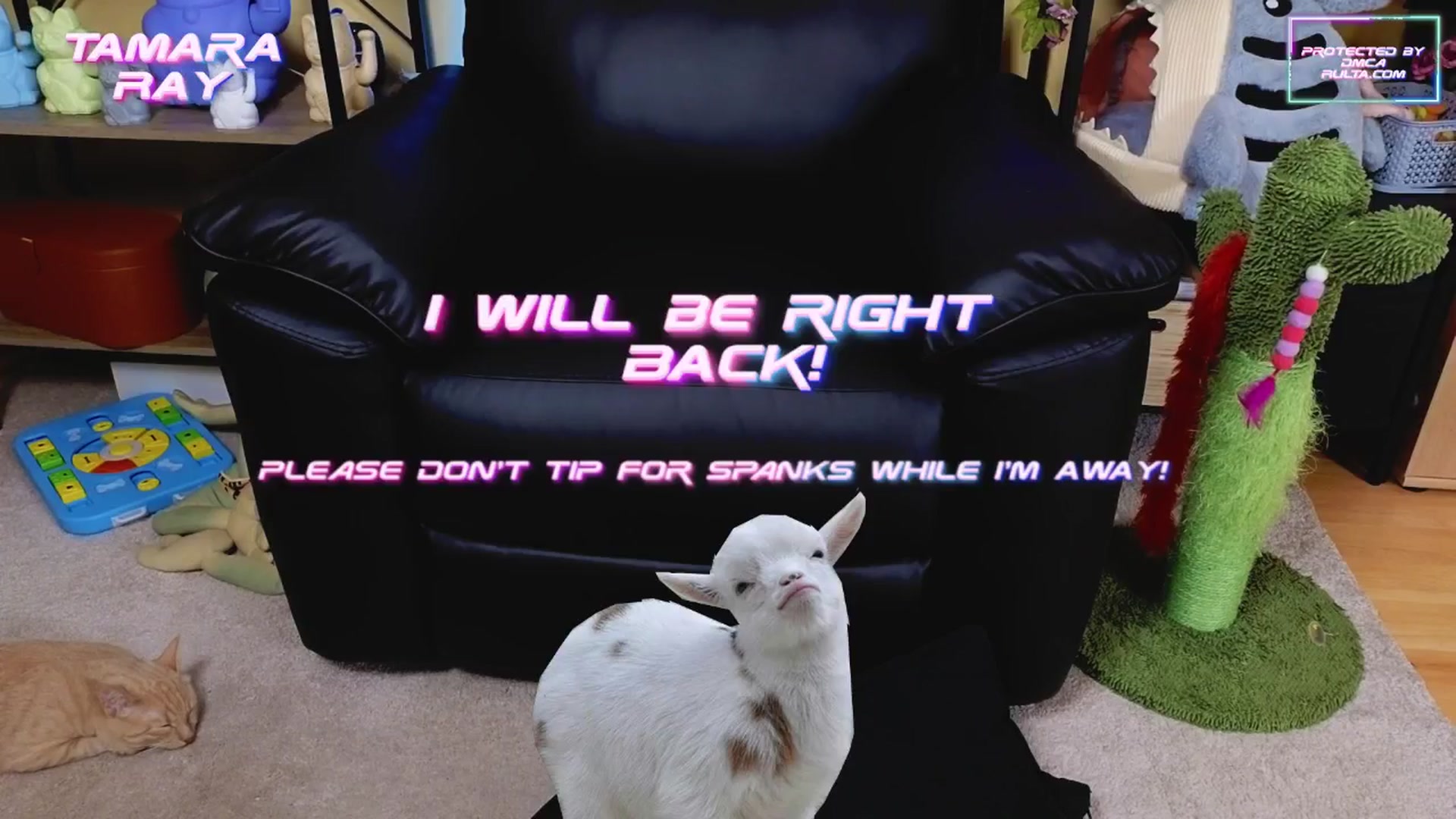 Gallery image thumbnail from TamaraRay's myfreecams stream on, 05/09/2025, 05:35 image 14 of 20