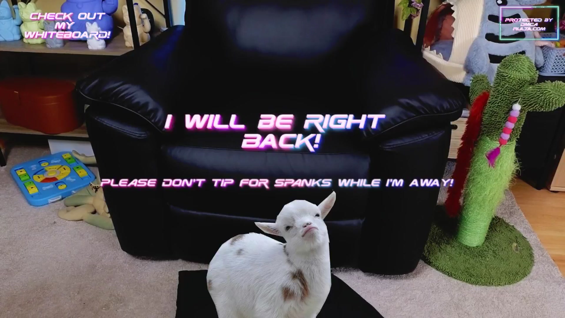 Gallery image thumbnail from TamaraRay's myfreecams stream on, 05/09/2025, 05:35 image 5 of 20