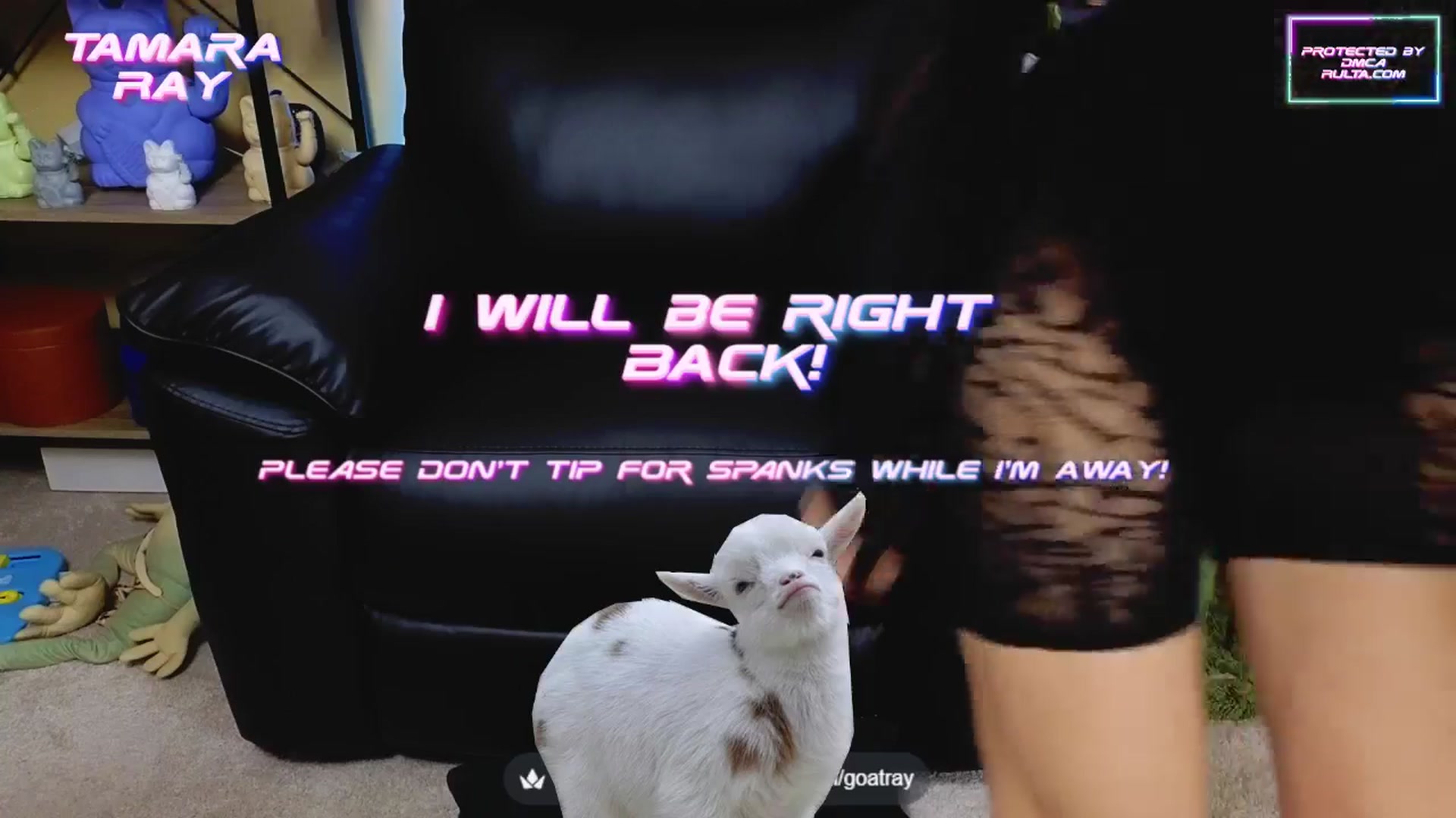 Gallery image thumbnail from TamaraRay's myfreecams stream on, 05/10/2025, 05:42 image 8 of 20