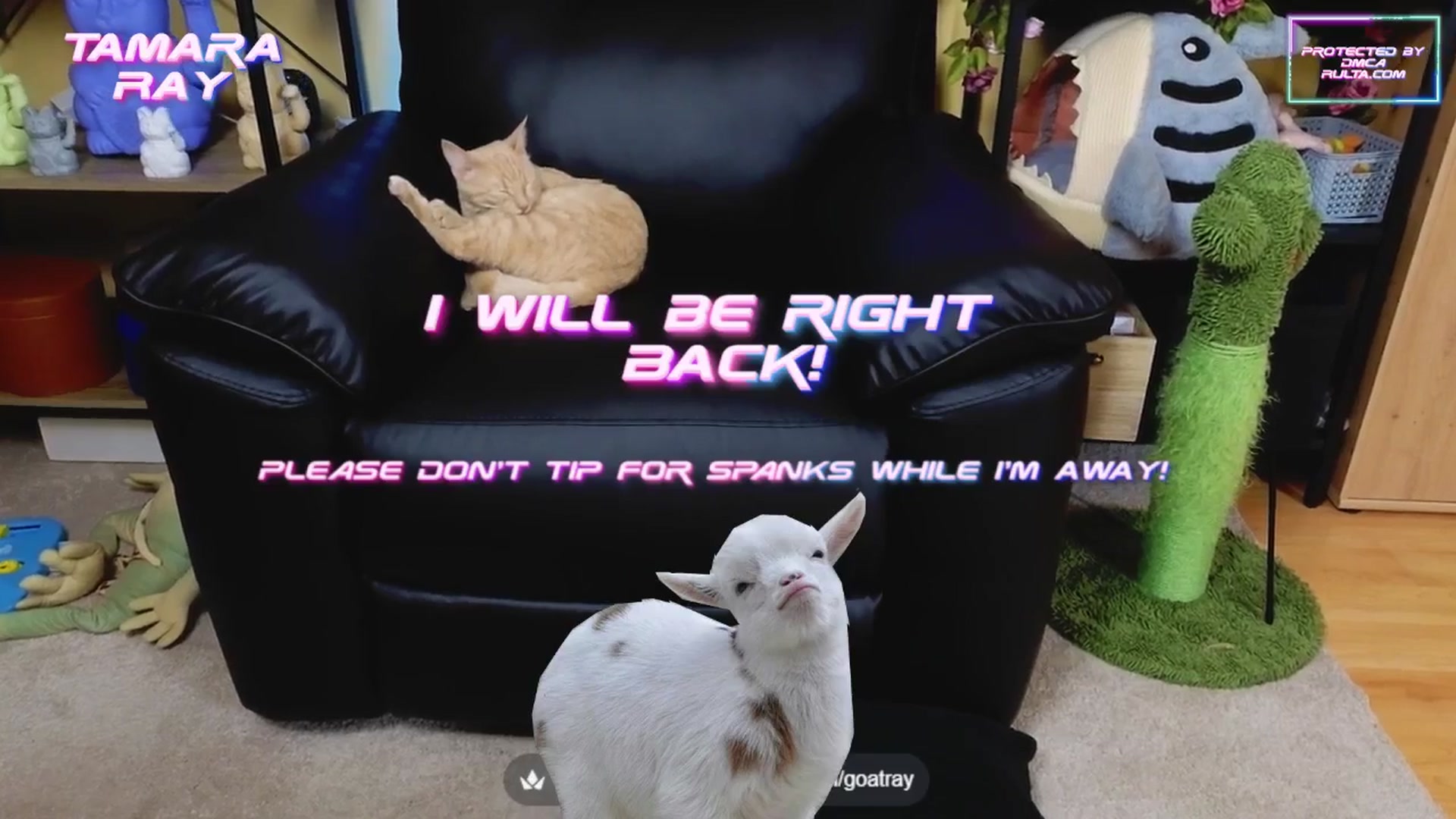Gallery image thumbnail from TamaraRay's myfreecams stream on, 05/10/2025, 05:42 image 18 of 20