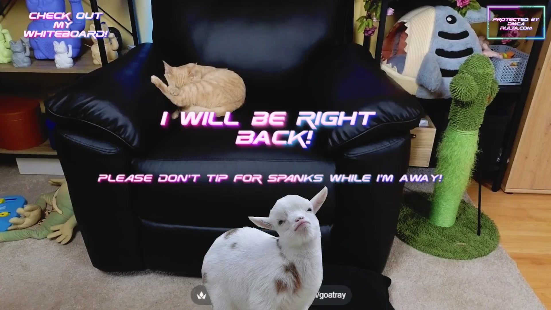 Gallery image thumbnail from TamaraRay's myfreecams stream on, 05/10/2025, 05:42 image 19 of 20