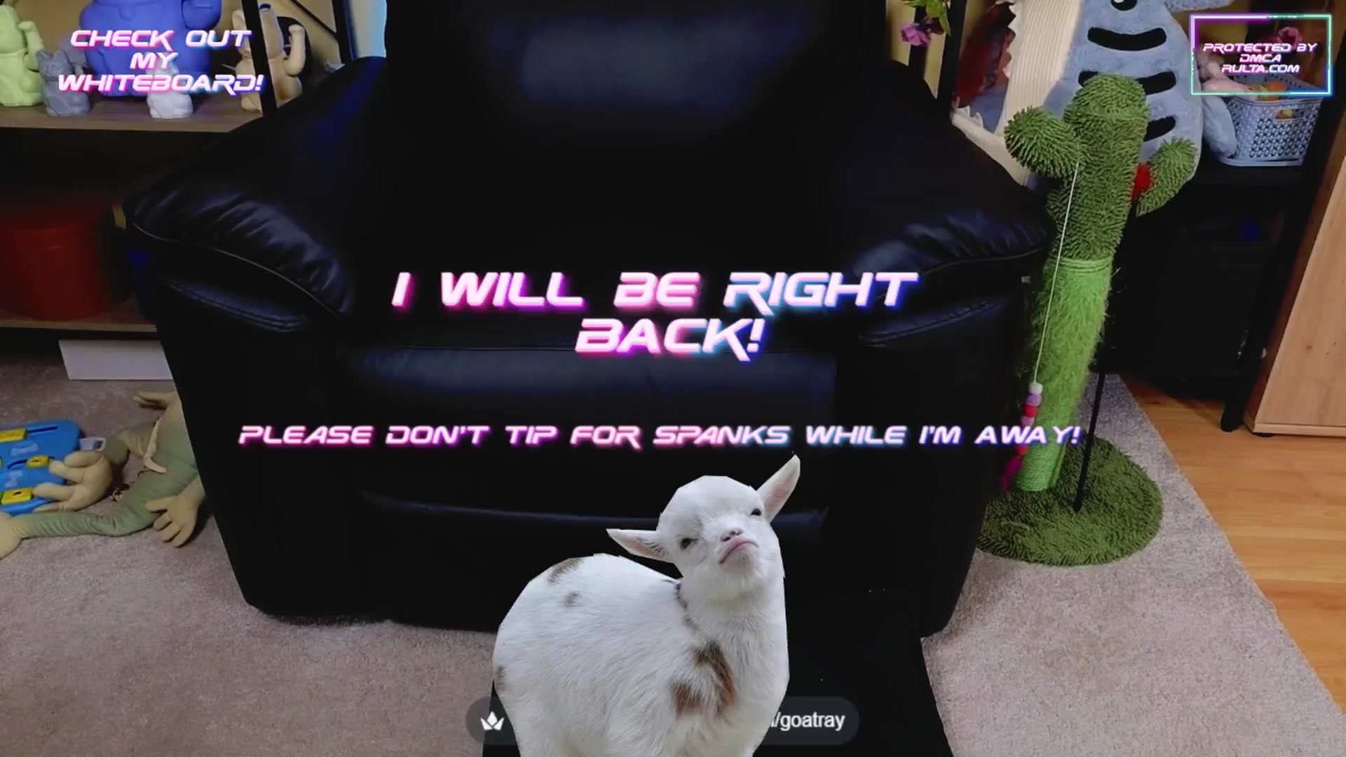 Gallery image thumbnail from TamaraRay's myfreecams stream on, 05/11/2025, 06:38 image 16 of 20