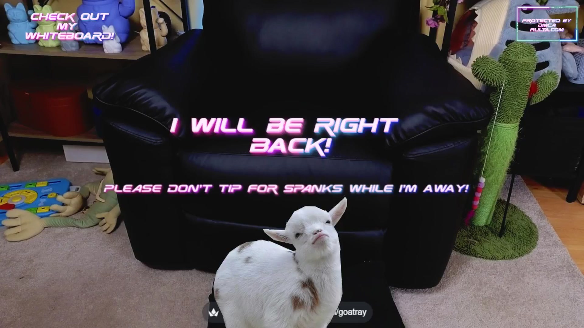 Gallery image thumbnail from TamaraRay's myfreecams stream on, 05/11/2025, 06:38 image 7 of 20