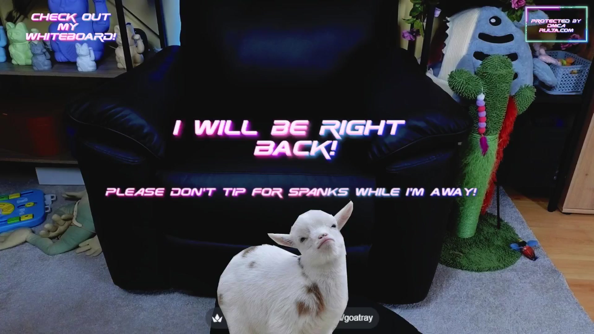 Gallery image thumbnail from TamaraRay's myfreecams stream on, 05/13/2025, 05:04 image 6 of 20