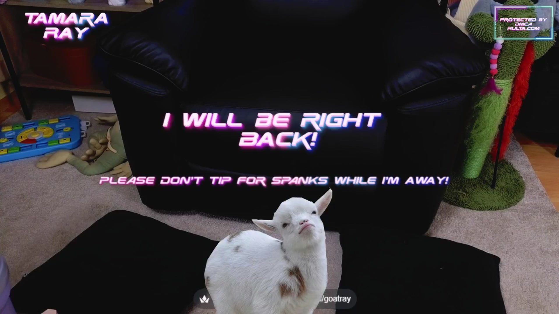 Gallery image thumbnail from TamaraRay's myfreecams stream on, 05/14/2025, 05:21 image 10 of 20