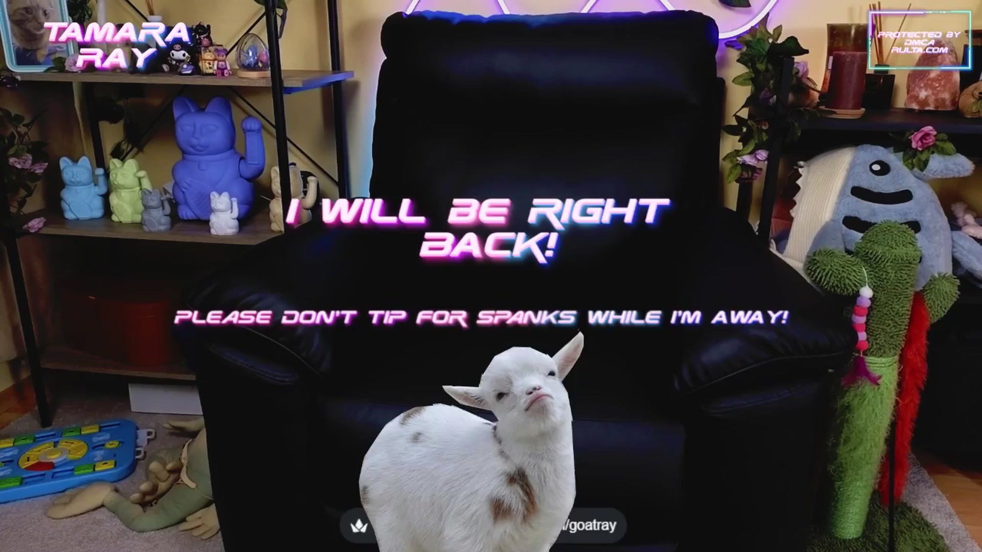 Gallery image thumbnail from TamaraRay's myfreecams stream on, 05/14/2025, 05:21 image 17 of 20