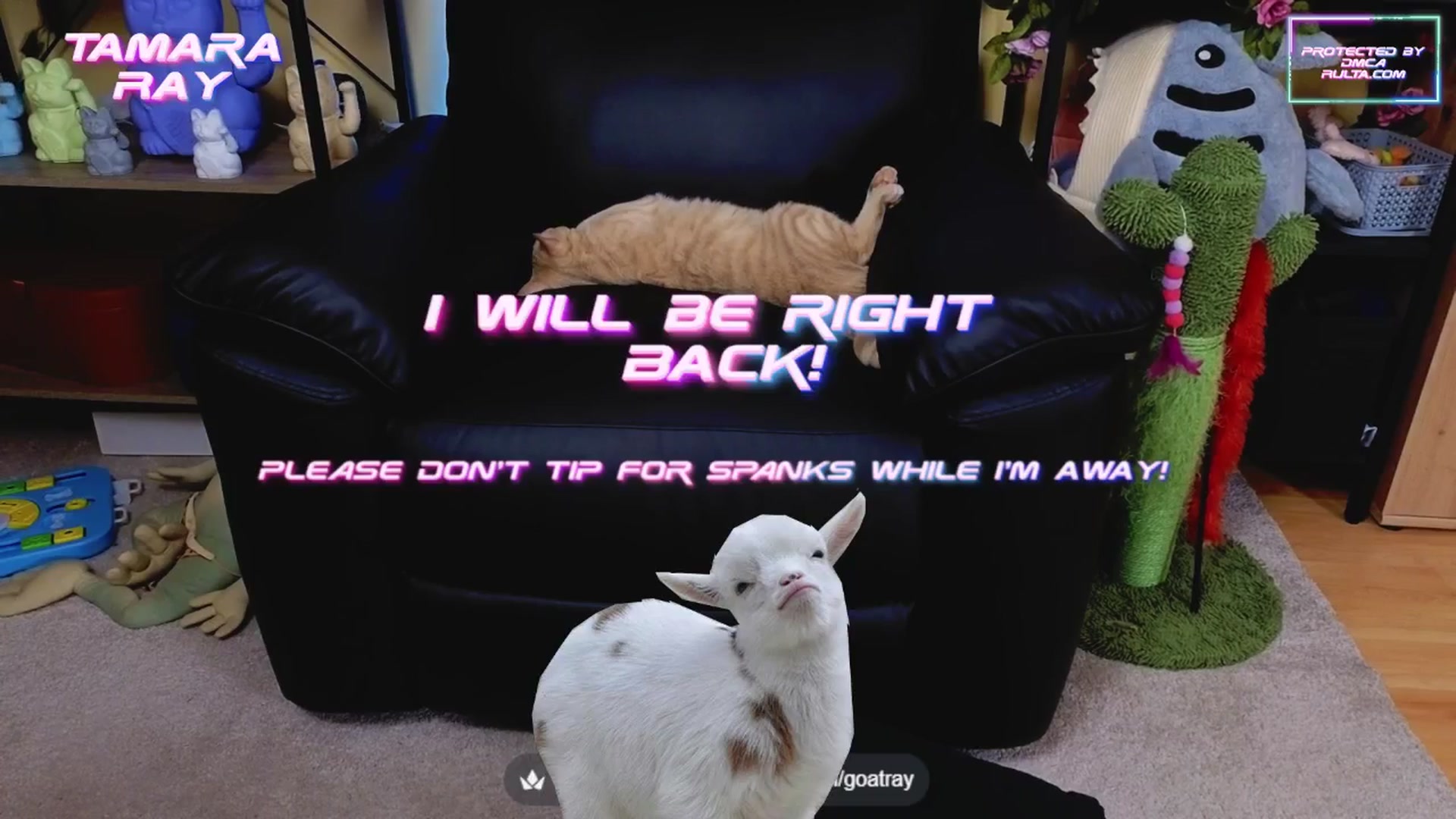 Gallery image thumbnail from TamaraRay's myfreecams stream on, 05/15/2025, 04:30 image 12 of 20