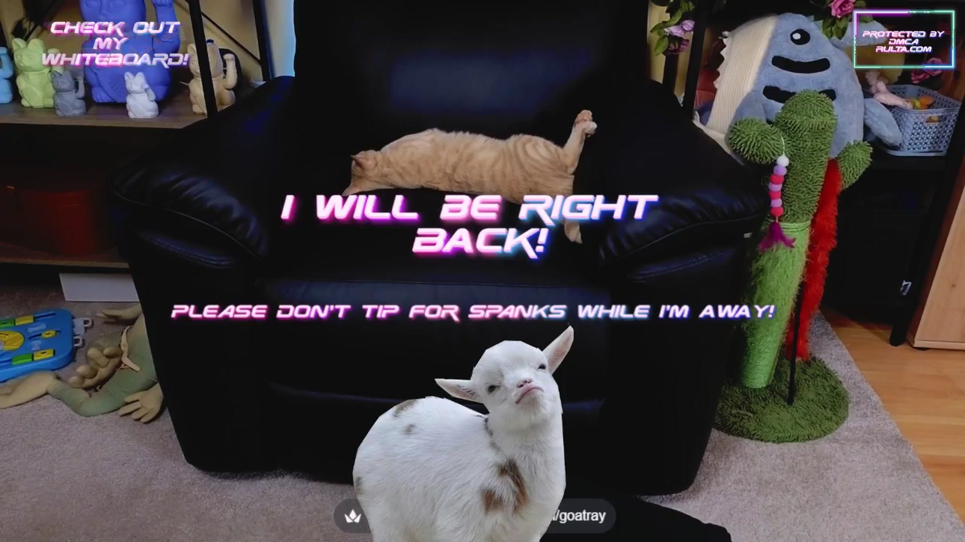 Gallery image thumbnail from TamaraRay's myfreecams stream on, 05/15/2025, 04:30 image 14 of 20