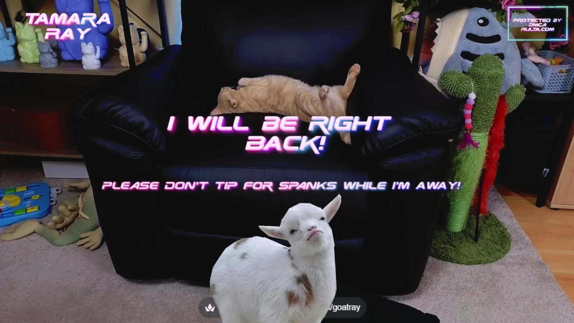 Gallery image thumbnail from TamaraRay's myfreecams stream on, 05/15/2025, 04:30 image 9 of 20
