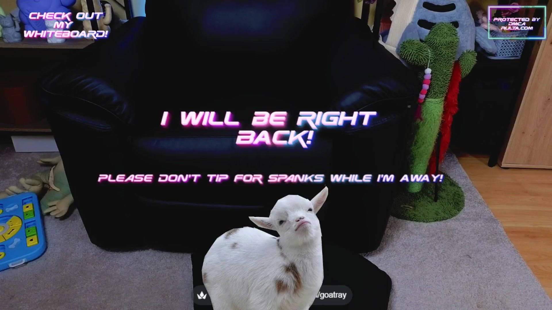Gallery image thumbnail from TamaraRay's myfreecams stream on, 05/16/2025, 04:32 image 20 of 20