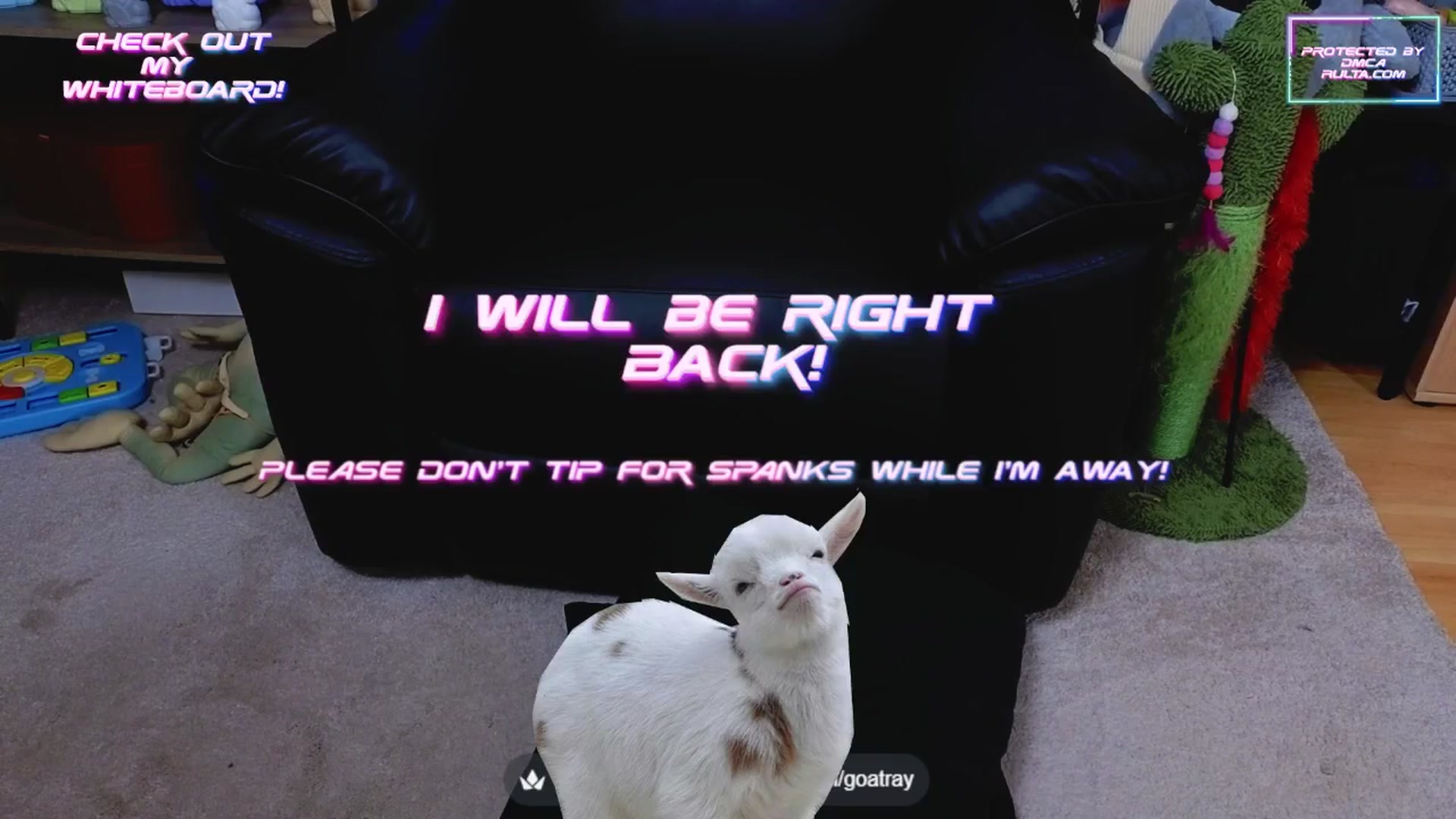 Gallery image thumbnail from TamaraRay's myfreecams stream on, 05/16/2025, 04:32 image 3 of 20