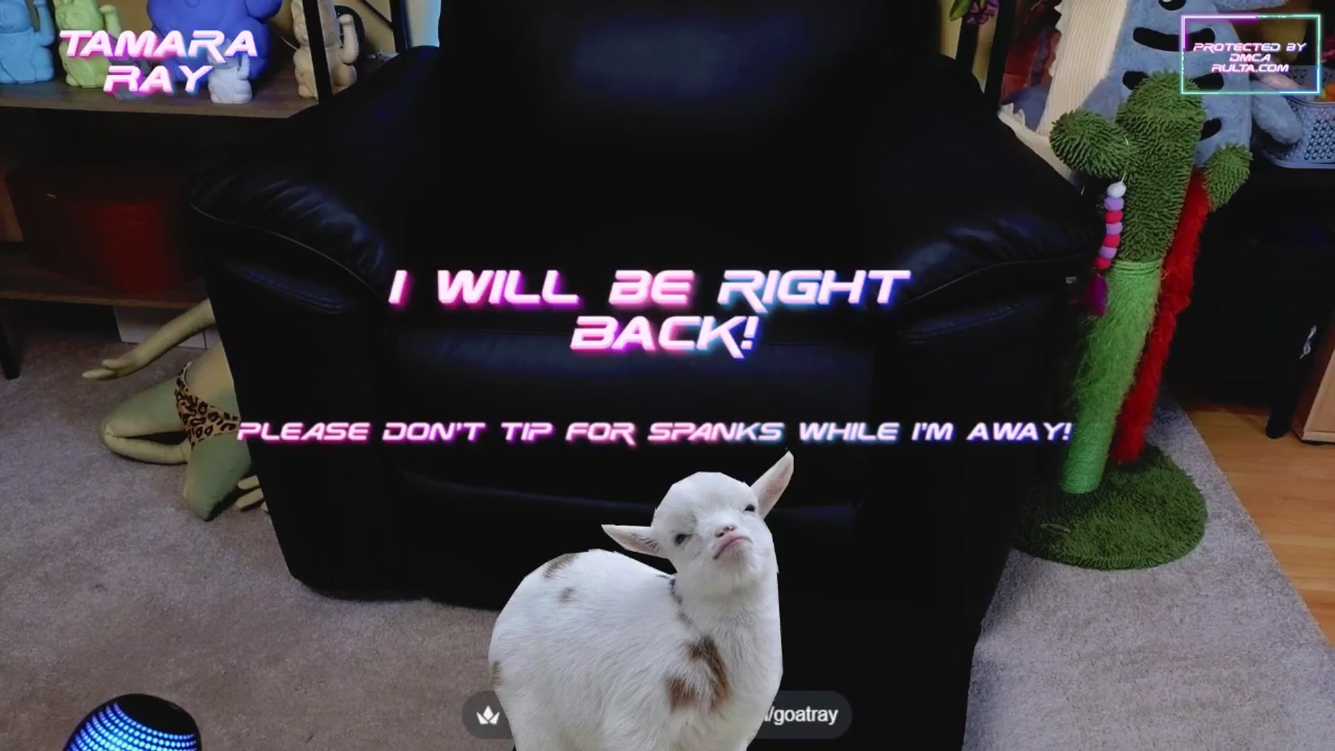 Gallery image thumbnail from TamaraRay's myfreecams stream on, 05/25/2025, 05:07 image 15 of 20