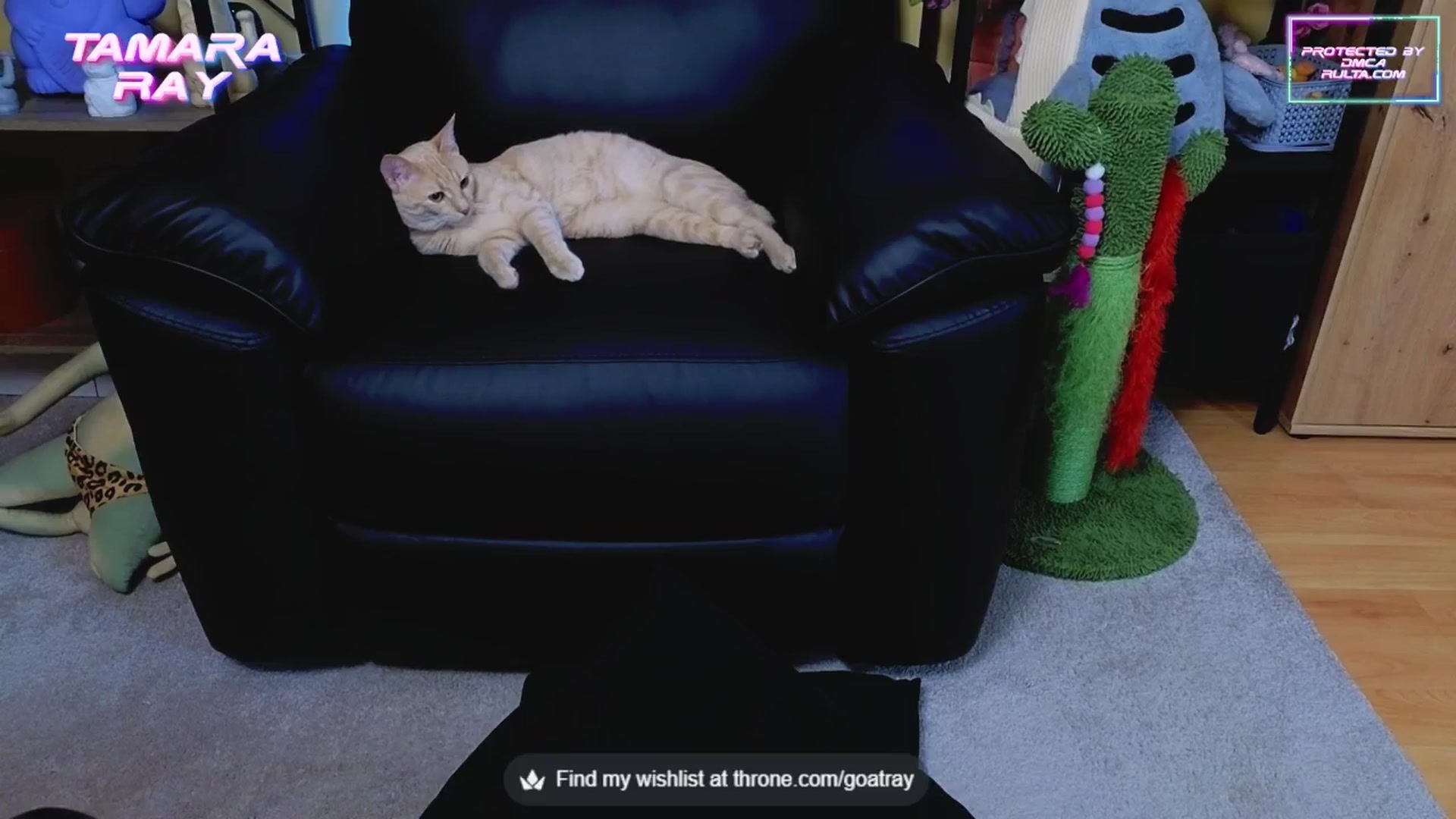 Gallery image thumbnail from TamaraRay's myfreecams stream on, 05/27/2025, 05:00 image 20 of 20