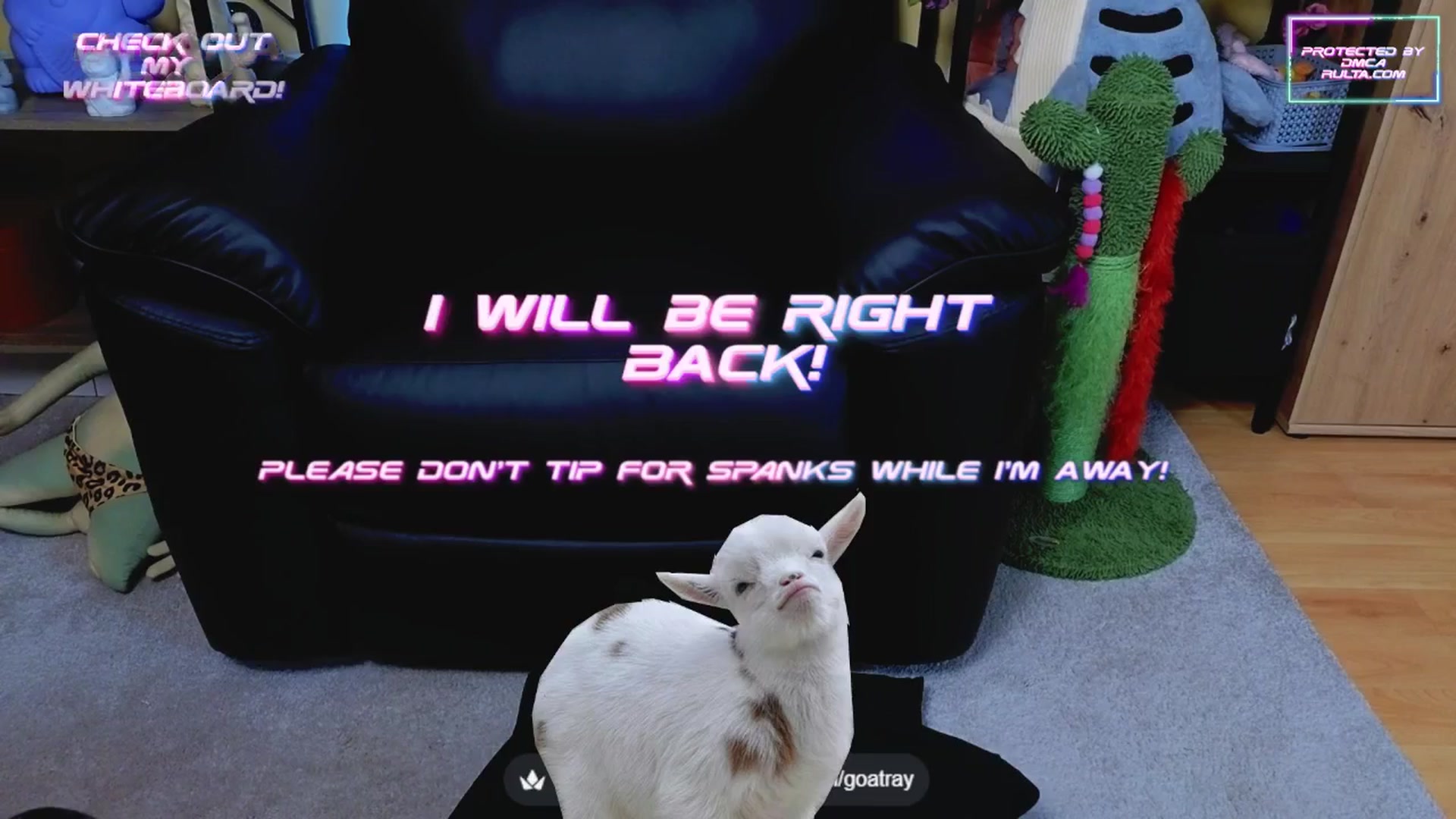 Gallery image thumbnail from TamaraRay's myfreecams stream on, 05/27/2025, 05:00 image 10 of 20