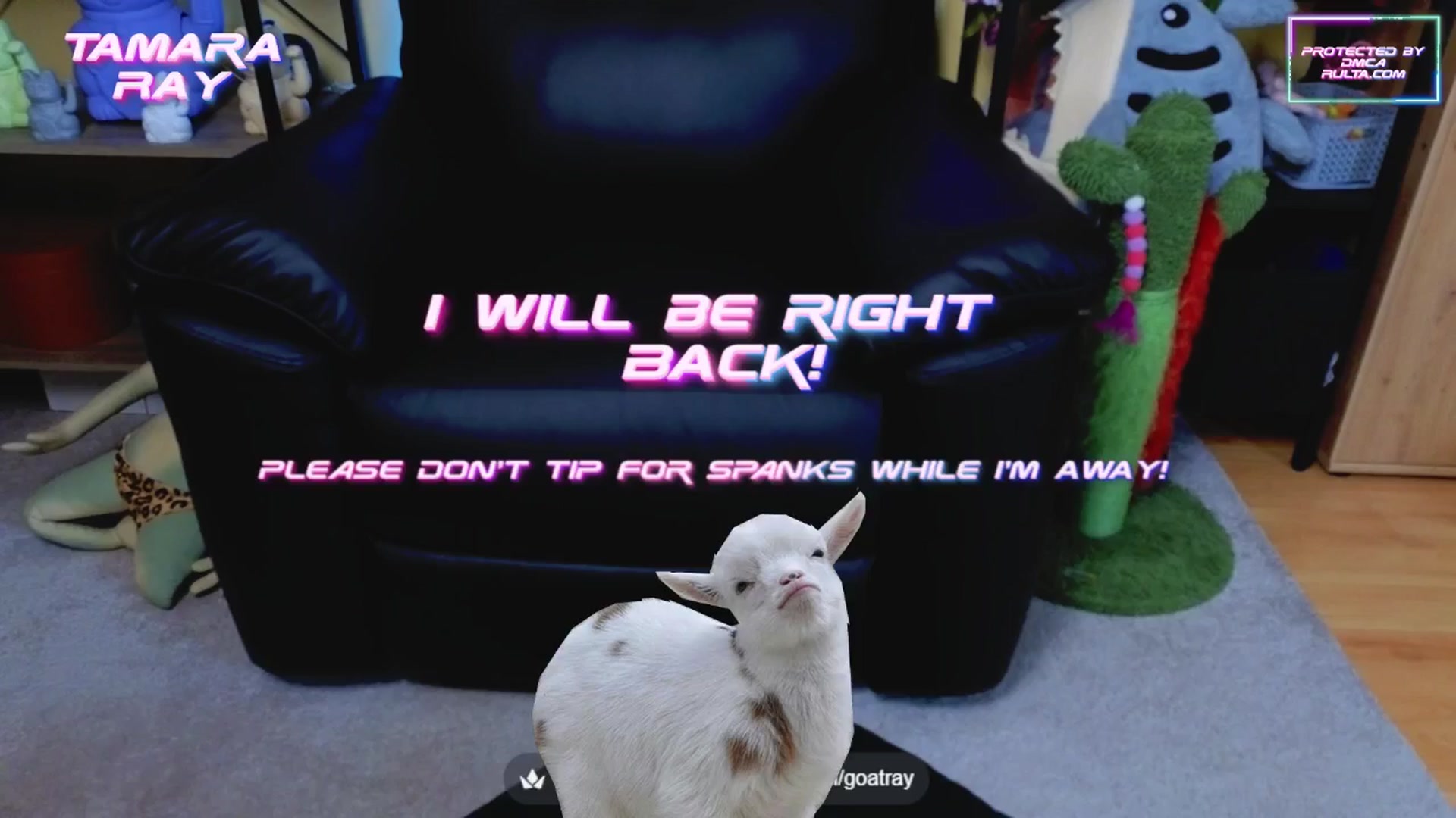 Gallery image thumbnail from TamaraRay's myfreecams stream on, 05/28/2025, 03:28 image 15 of 20